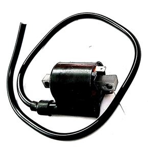 Hero Ignitor Engine Coil